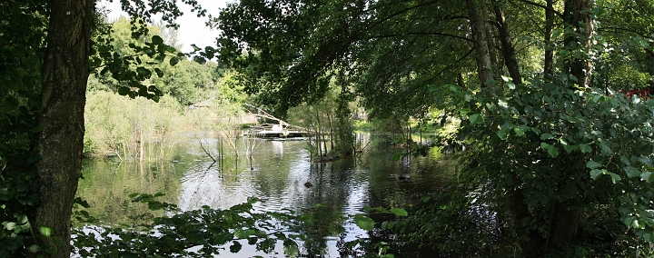 [2] pano, 100CANON, 5 images, IMG_2833 - IMG_2837 - 4155x1639 - SCUL-Smartblend.jpg - Pélicans et autres cormorans